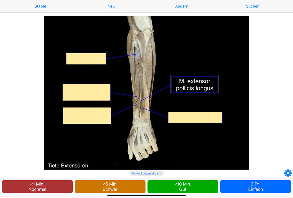 Anatomie Anki-Kartenset