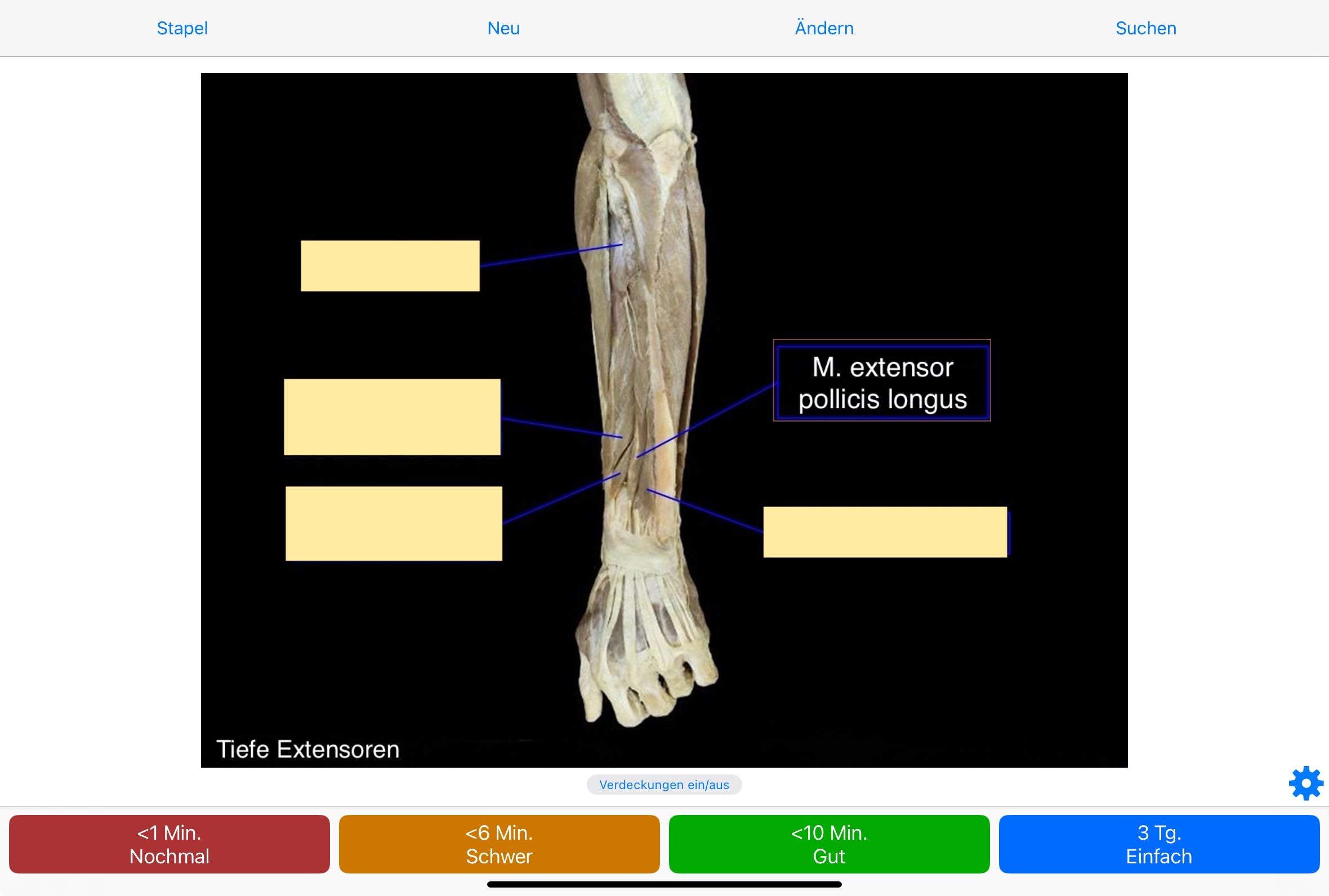 Anatomie Anki-Kartenset