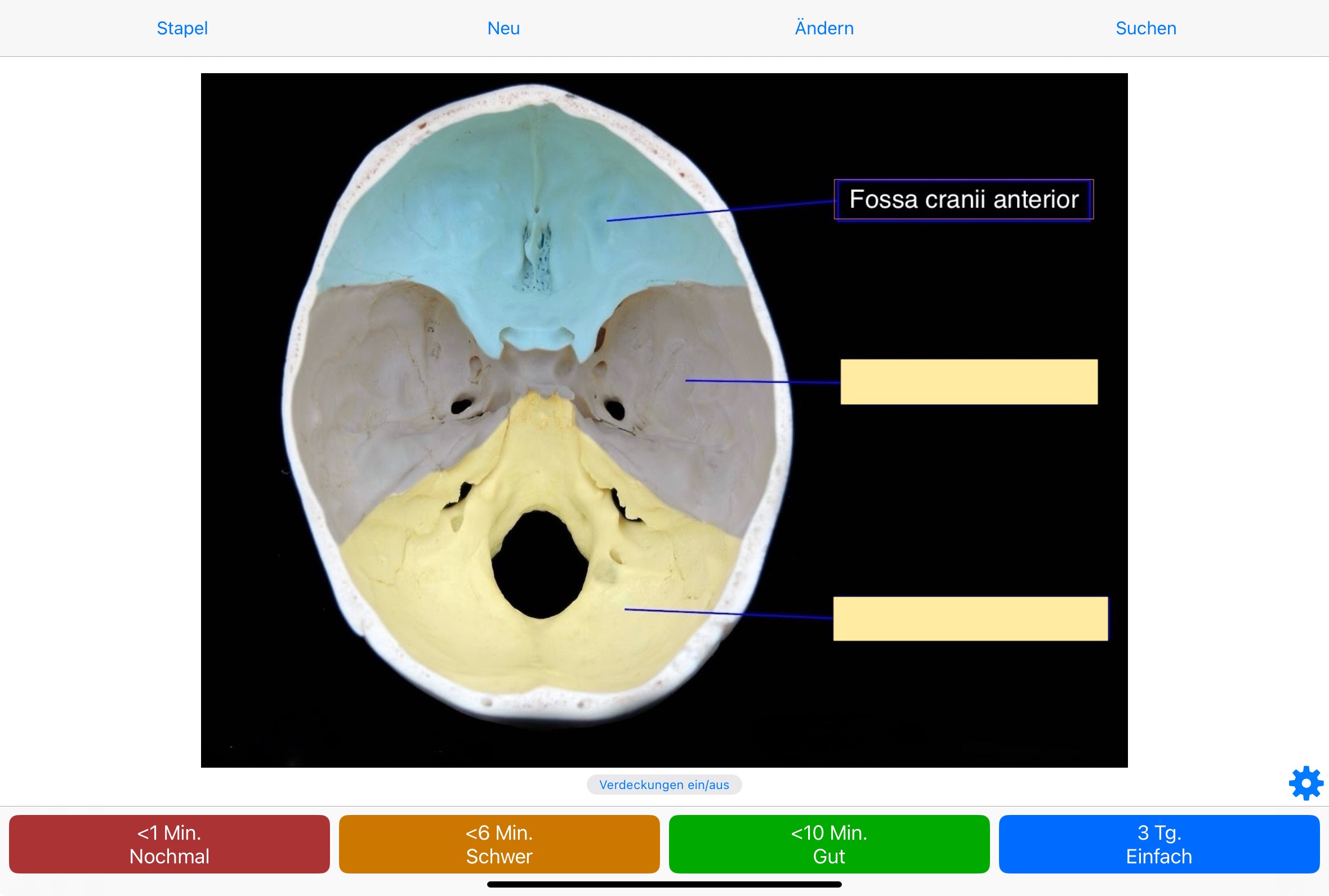 Anatomie Anki-Kartenset